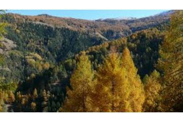Parco Naturale del Gran Bosco di Salbertrand